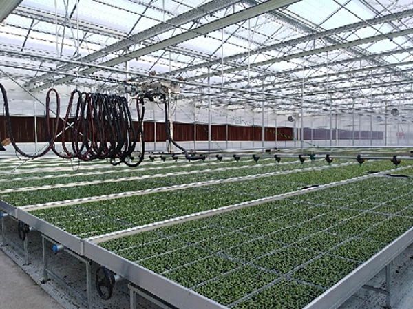 常见温室灌溉设备的种类