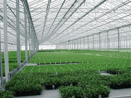 具备哪些温室育苗设备，可加快蔬菜产业现代化进程？